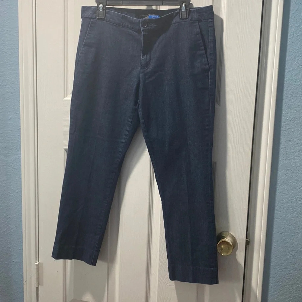 Banana Republic Jeans Womens Size 30/10 Blue Denim Hampton Fit